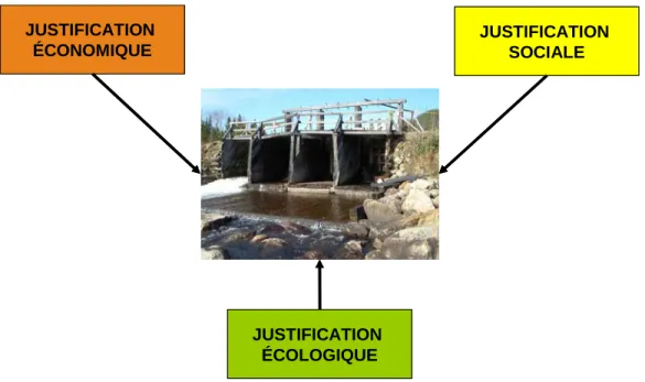 Figure 9 : Aspects de la justification du projet 