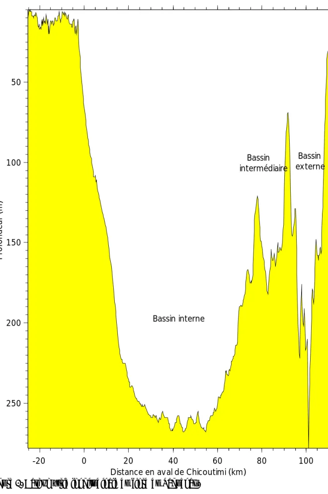 Figure 1. Bathymétrie longitudinale du fjord du Saguenay.