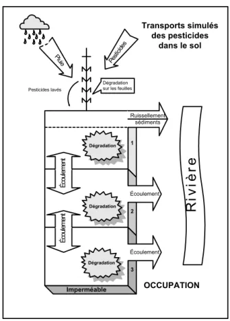 Figure 4.23 :  Processus simulés par le modèle pesticide de GIBSI  4.3.6.2  Adaptation du modèle 