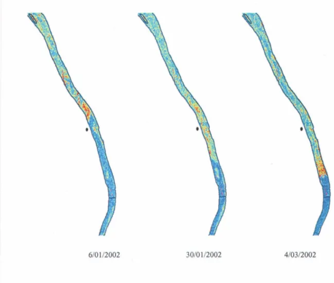 Figure 2 : Trois sous images RADARSAT en  pseudocouleur de l'hiver 2002 