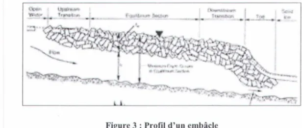 Figure 3  : Profil d'un embâcle  Analyse quantitative: 