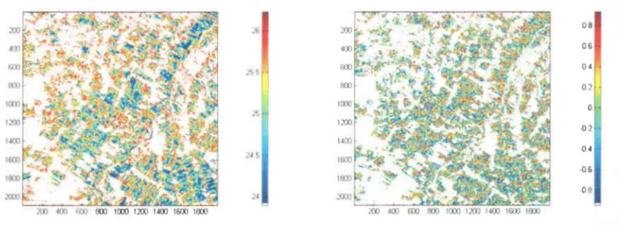 Figure 7: Image APP du 10/01/04 a)  polarisation HH,  b) rapport de polarisation HHNV