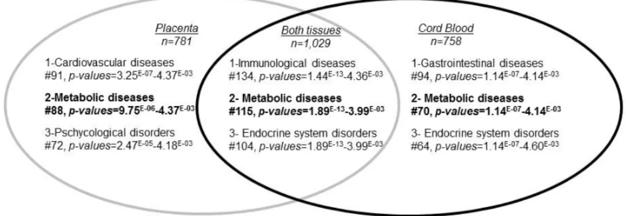 Figure  2.2-  Ingenuity  Pathway  Analysis:  Top-ranked  common  disease  and  disorder  pathways that were epigenetically affected by GDM  