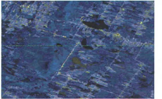 Figure 3.1 : Ligne de pixel qui présente des anomalies sur l'image de 1976 