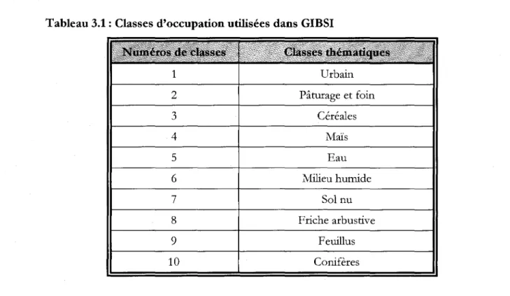 Tableau 3.1 : Classes d'occupation utilisées dans GIBSI 