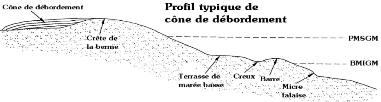 Figure 2.3 : Profil de plage en l’absence d’un système dunaire ou d’une colline  