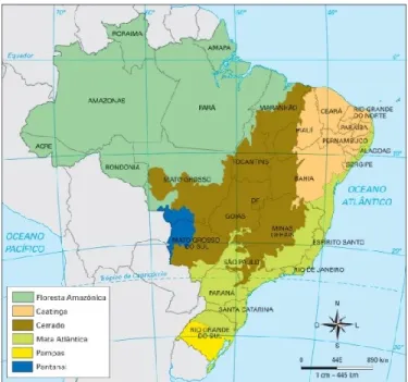 Figure 2.1 : Carte des biomes du Brésil.  