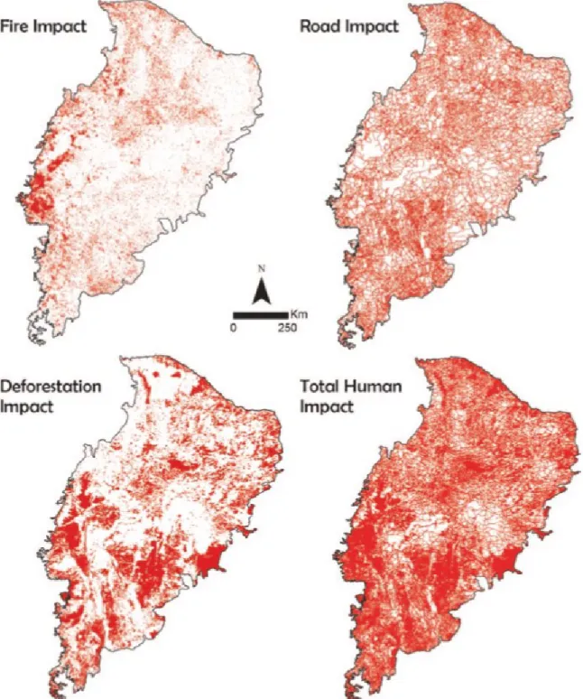 Figure 2.7 : Distribution géographique des impacts du feu, des routes, du changement d’usage des  sols et des trois facteurs combinés (impact anthropique total) dans la Caatinga en 2010