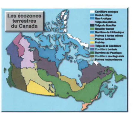Figure  3.1:  Carte  des  écozones  du  Canada  (Source:  Environnement  Canada,  ww.ec.gc.ca/ soer-ree) 