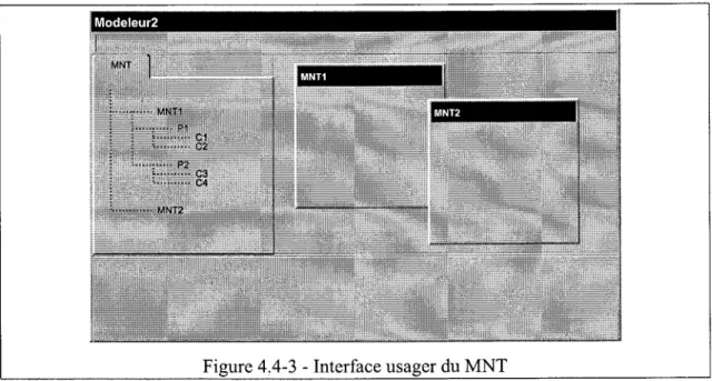 Figure 4.4-3  - Interface usager du MNT 