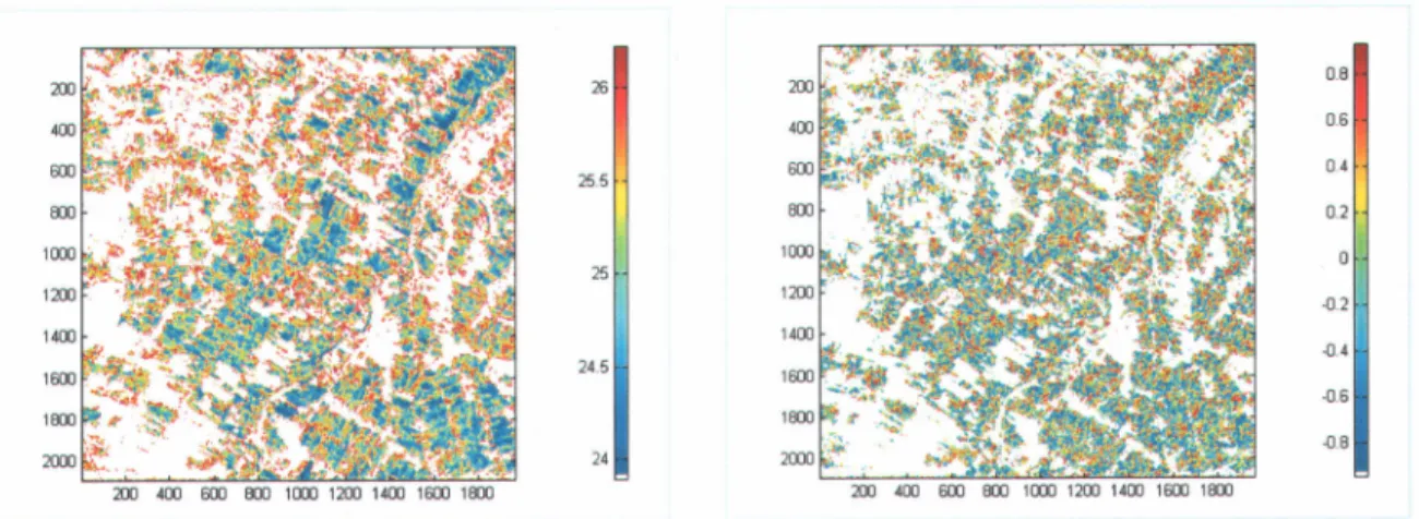 Figure 6 : lmage APP du 10101104  a) polarisation  HH, b) rapport de polarisation  HH/W.