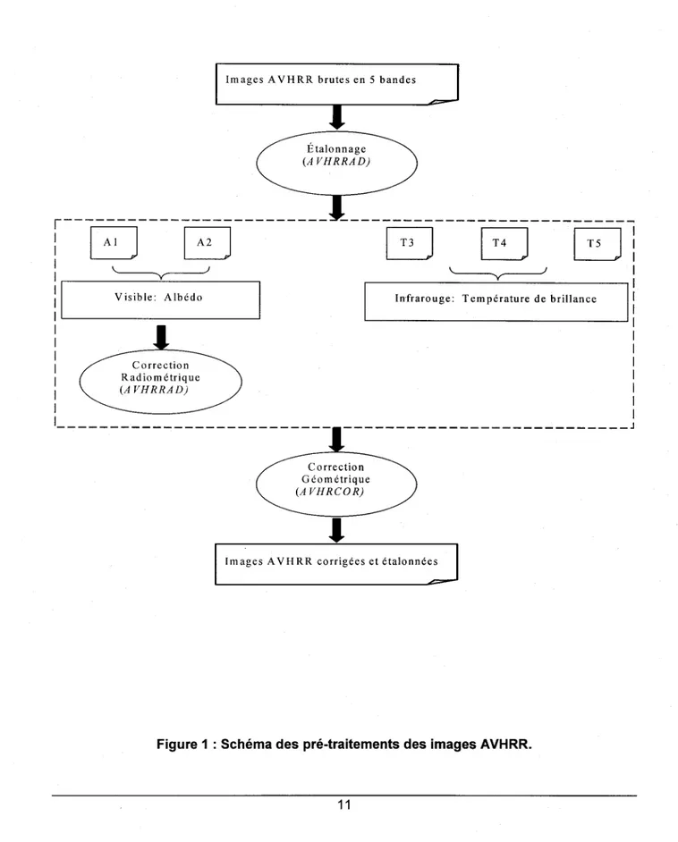 Figure 1 : Schéma des pré-traitements des images AVHRR. 