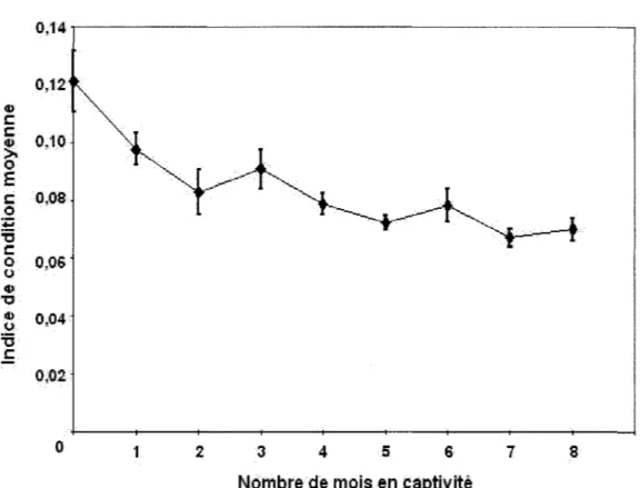 Figure 2.  Diminution de  l'indice de condition chez les bivalves en captivité au laboratoire  (N  =  10 pour chaque mois;  le  =  poids sec des organes/poids sec de la coquille) 