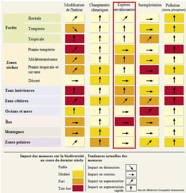 Figure 1.1 Impacts et tendances des menaces sur la biodiversité au cours du dernier siècle (inspiré de :  Millennium Ecosystem Assessment, 2005) 