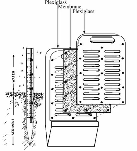 Figure 2.2: Schematic illustration of in situ porewater peepers used Plexiglass