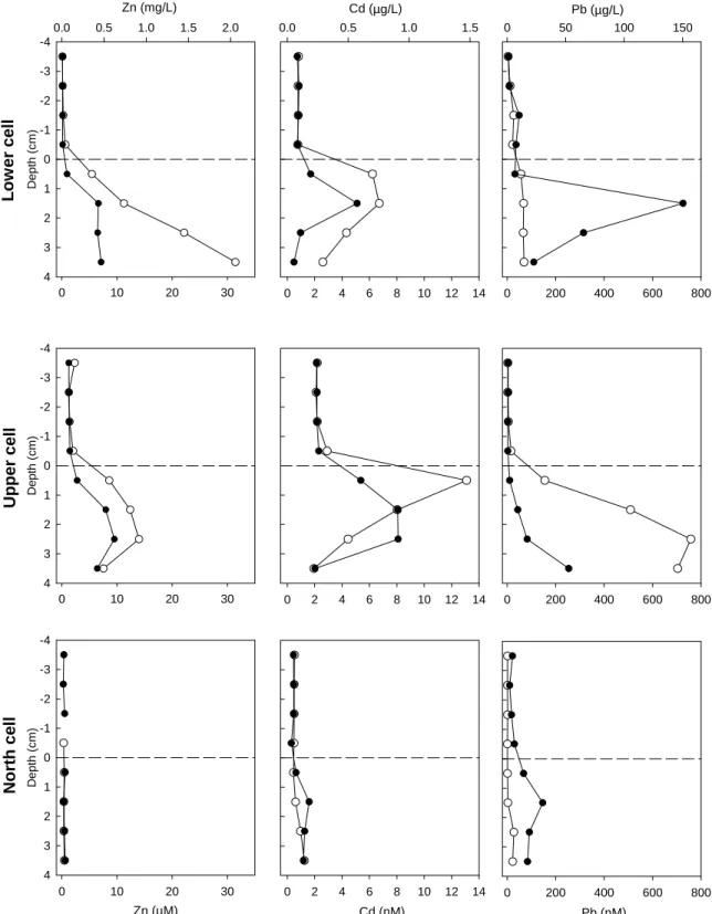 Figure 3.4: Duplicate dissolved zinc, cadmium and lead concentration profiles at the sediment – water  interface in all three sampled cells