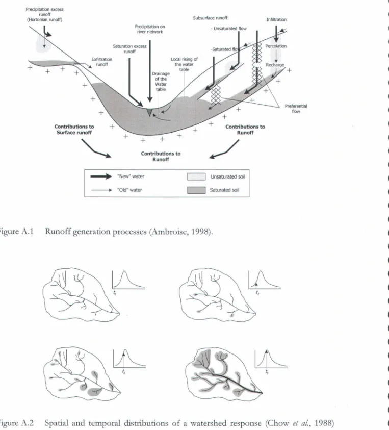 Figure  A.l  Runoff generation processes  (Ambroise,  1998). 