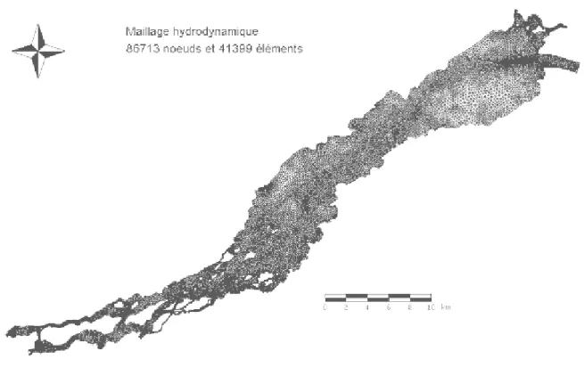 Figure 3: Maillage utilisé pour les simulations hydrodynamiques et de matières en suspension