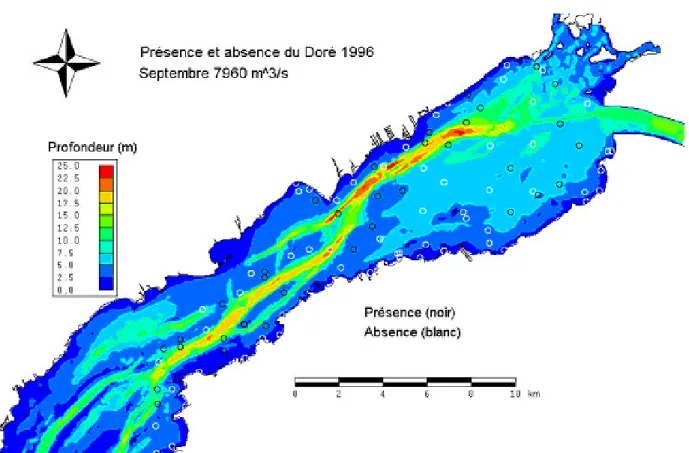 Figure 10 : Position des points d’échantillonnage du Québec dans le lac Saint-François en 1996 avec  présence et absence de doré jaune dans les captures expérimentales au filet à mailles multiples de la  FAPAQ