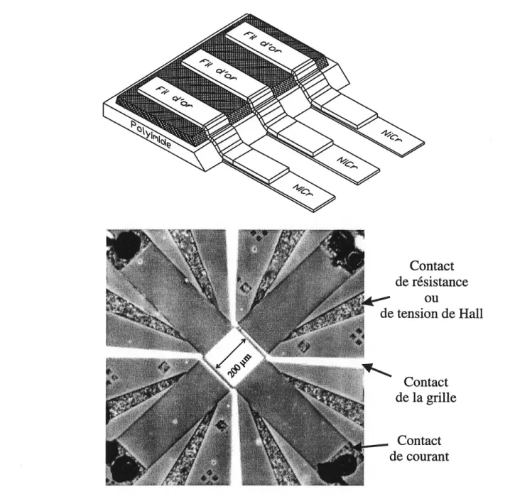 Figure 1.3: Vue de dessus de r^chantiUon. On aper^oit la mesa en croix d61imit6e par les douze contacts ohmiques (injection de courant, de mesure de la resistance et de mesure de la tension de Hall) d^