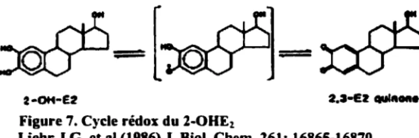 Figure 7. Cycle rédox du 2-0HE 2 