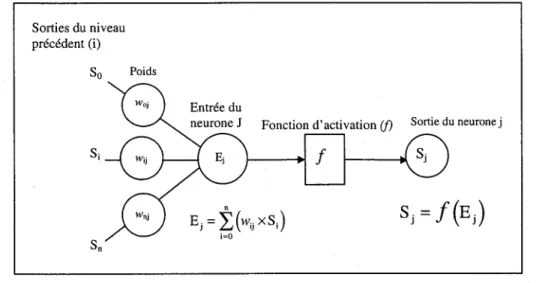 Figure 3.2  Connections d'un élément processeur (nœud j) 