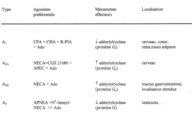 Tableau 1-1. Classification pharmacologique des recepteurs Pi.