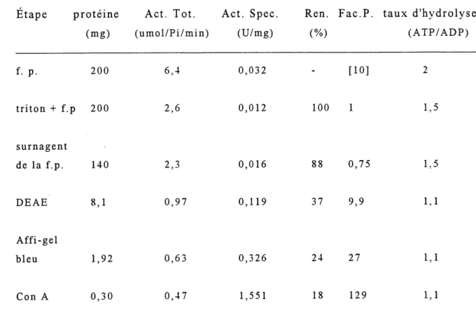Tableau 2. Bilan de purification de I'ATPDase du ventricule de boeuf.*