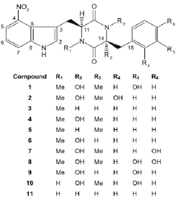Figure  3.  Structures  de  thaxtomines  produites  par  des  espèces  phytopathogènes  de  Streptomyces