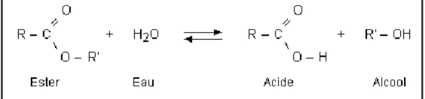 Figure 6. Réaction chimique catalysée par une estérase. 