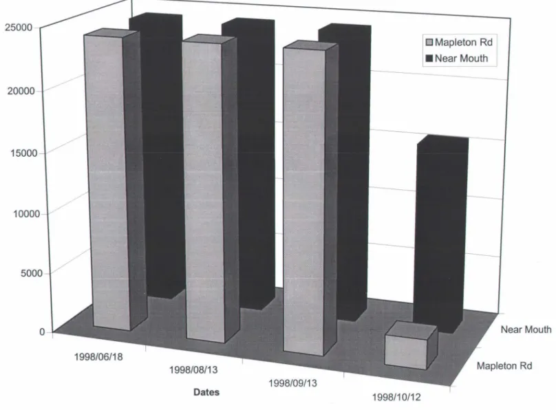 Figure 7.  Total  coliform concentrations at two stations (Mapleton  road  and  near the mouth) during  1998