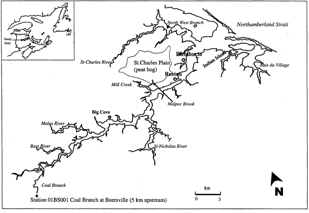Figure  1.  Richibucto Estuary, showing the location of Malpec Brook and Mill Creek 