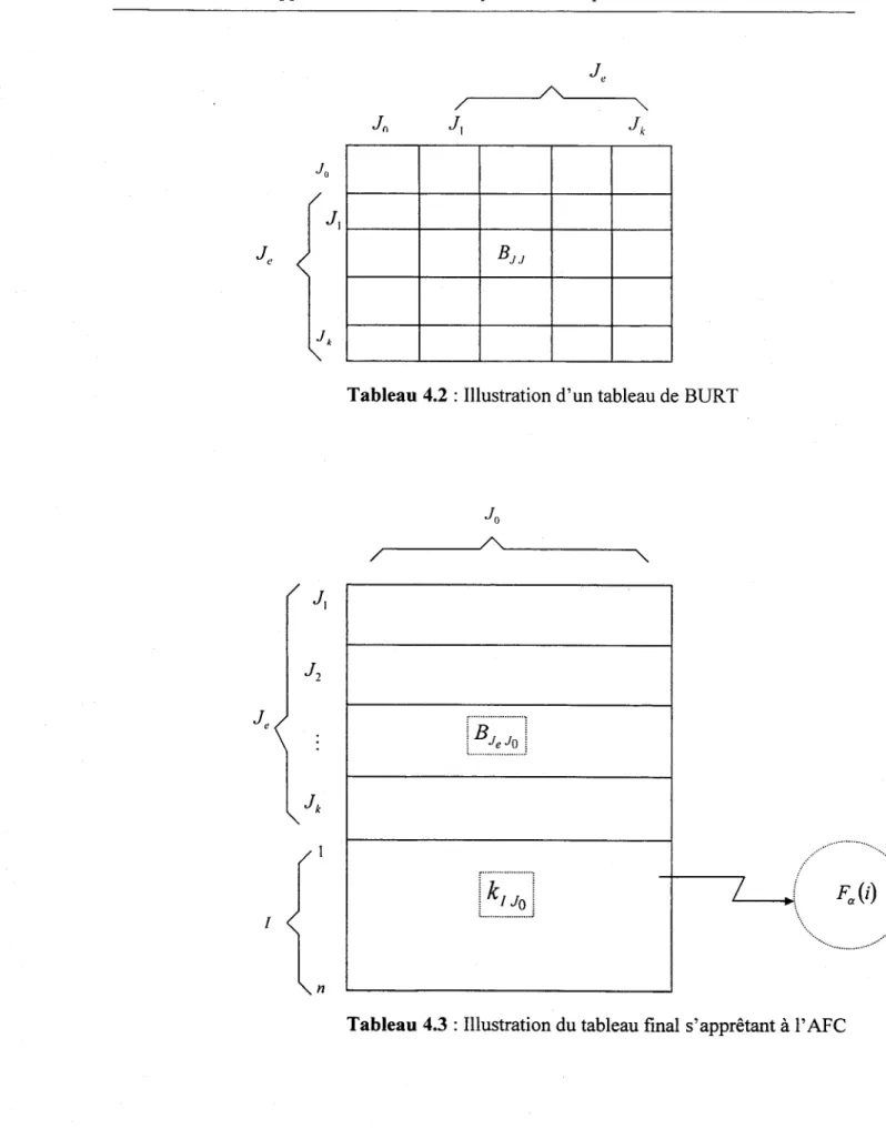 Tableau 4.2  : Illustration d'un tableau de BURT 