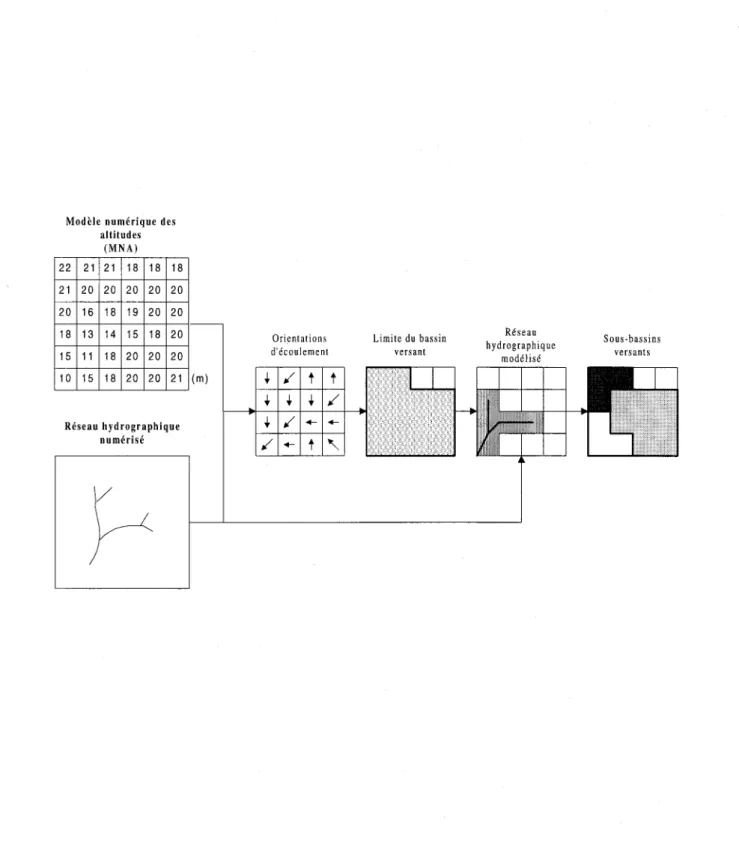 Figure 3:  Schématisation de la déduction de la structure d'écoulement d'un bassin versant 