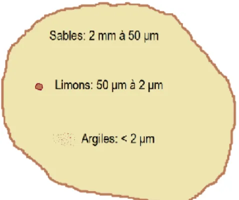 Figure I.4 – Classification granulométrique de la phase minérale d’un sol. La taille des grains est exprimée en fonction du  diamètre
