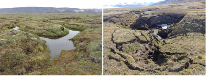 Figure I.16 – Dégel du pergélisol continu dans le Haut-Arctique canadien (Île Bylot, juillet 2018)