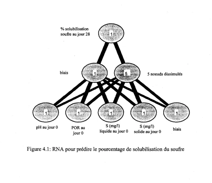 Figure 4.1:  RNA pour prédire le pourcentage de solubilisation du soufre 