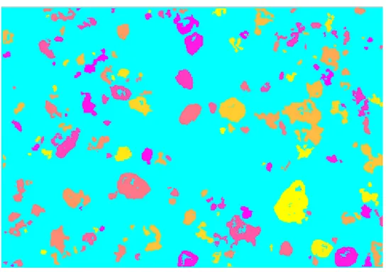 Figure 3.2: Image traitée pour le calcul de particules, chaque couleur représente une particule distincte 