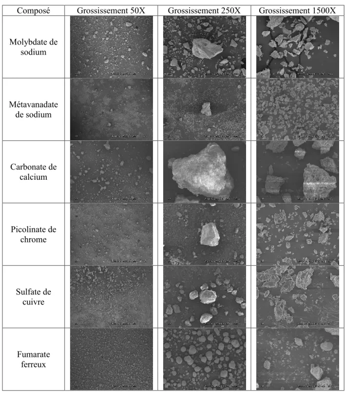 Tableau 3.4: Image MEB pour l’évaluation de la taille de particules des matières premières 