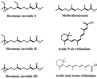 Figure 5. Structure des terpénoïdes se liant au RXR ou à l’USP. 