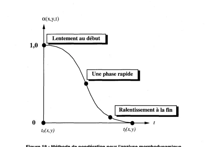 Figure 18: Méthode de pondération pour l'analyse morphodynamique 