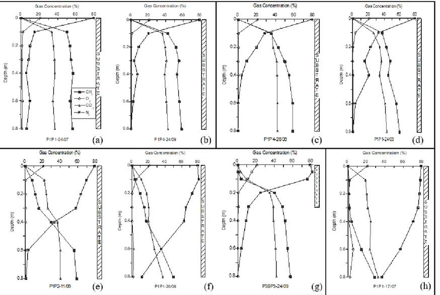 Fig. 4 - Selected gas concentration profiles for which samples were taken for stable isotope analyses: (a) and (b) are of Type 1; (c) and (d) of Type 2, (e) to (g) of Type 3 and  (h) of Type 4 
