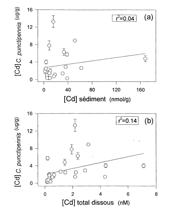 Figure 5.1.2.  Concentrations de Cd chez l'insecte  Chaoborus punctipennis  (quatrième stade  larvaire,  1l9/g  poids  sec)  prélevés  de  plusieurs  tacs  au  printemps  comparées  aux  concentrations totales sédimentaires (a) ou dissoutes (b) de Cd  dans