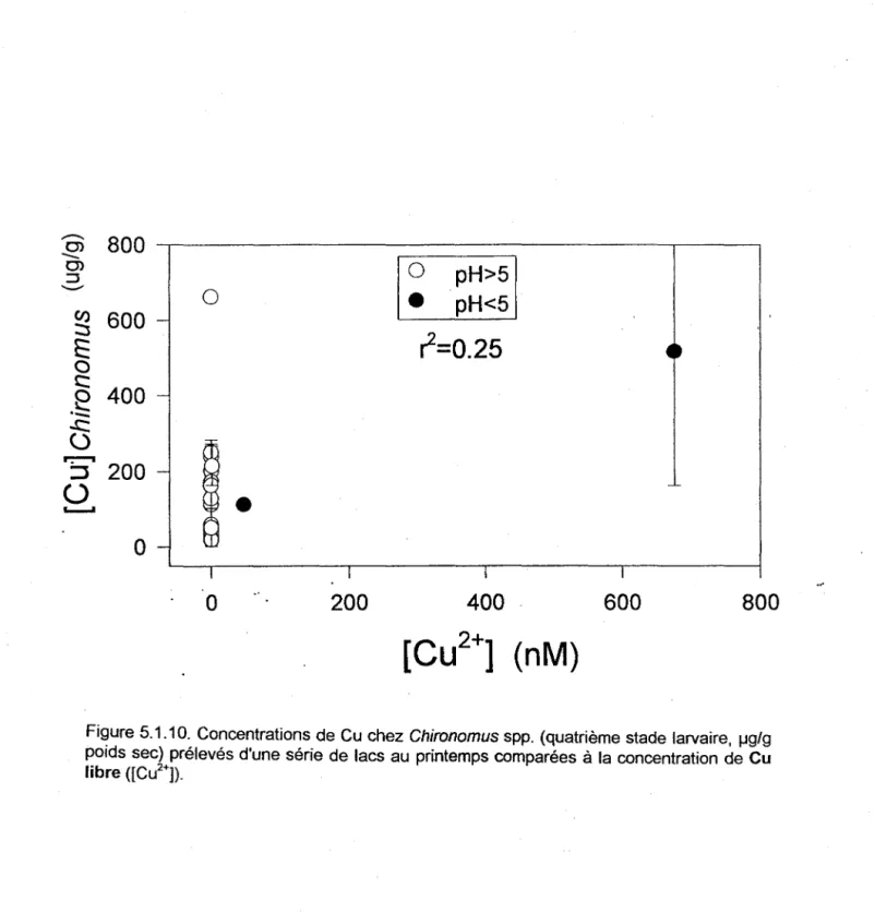 Figure 5.1.10.  Concentrations de Cu chez  Chironomus  spp.  (quatrième stade  larvaire,  ~g/g  poids sec) prélevés d'une série de  lacs au  printemps comparées  à  la concentration  de Cu  libre ([Cu 2 +])