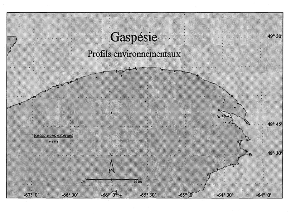 Figure A.I  Carte des profils environnementaux de la Gaspésie 