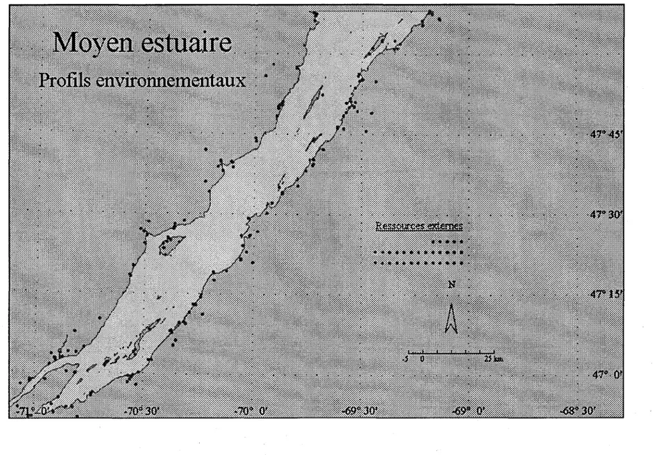 Figure A.4 Carte des profils environnementaux du moyen estuaire 