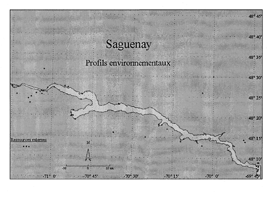 Figure A.5  Carte des profils environnementaux du Saguenay 