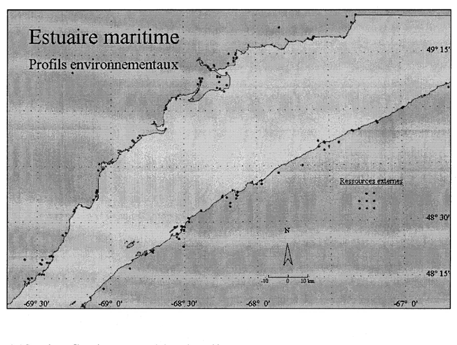 Figure A. 6 Carte des profils environnementaux de l'estuaire maritime 