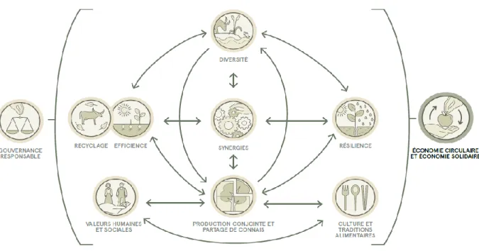 Figure 3.1    Structure multidimensionnelle et principes de l’agroécologie (tiré de : FAO, 2018, p