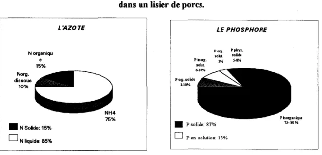 Figure  1.  Répartition de l'azote et du phosphore entre les phases liquide et solide  dans un lisier de porcs